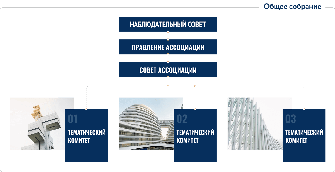 Структура ассоциации